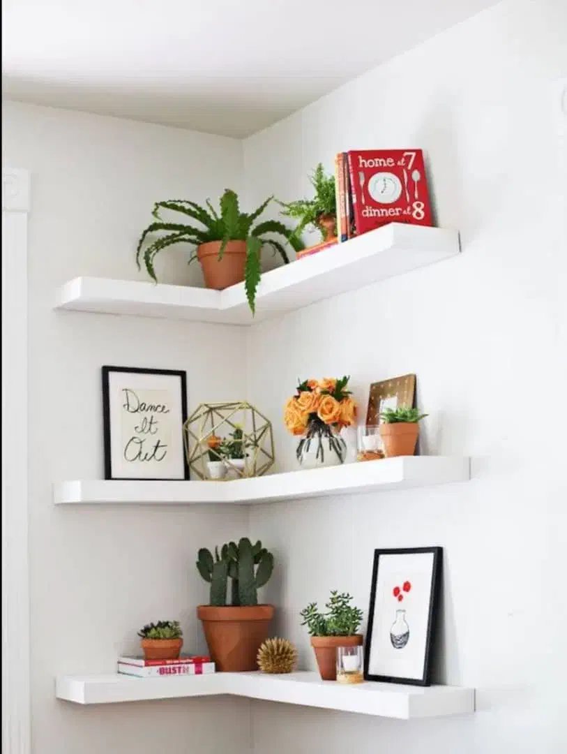 شلف دیواری|کتابخانه، شلف، قفسههای دیواری|سیرجان, |دیوار