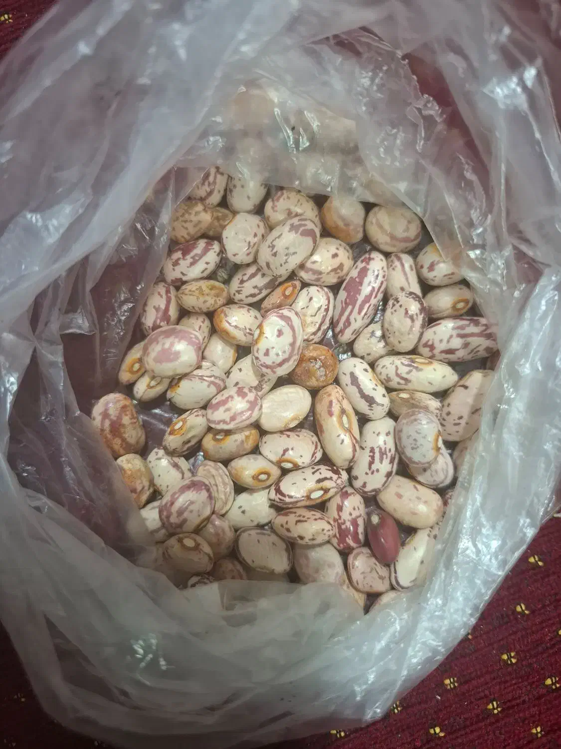 لوبیا چیتی کیلویی ۳۰۰تومن|خوردنی و آشامیدنی|آستارا, |دیوار