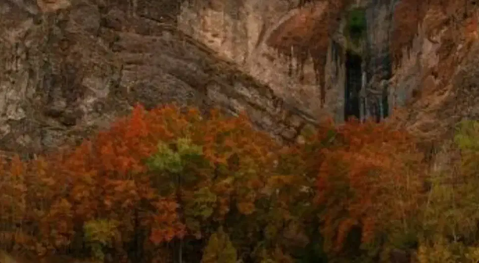 سویت مبله قلات|اجارهٔ کوتاهمدت آپارتمان و سوئیت|شیراز, قلات|دیوار