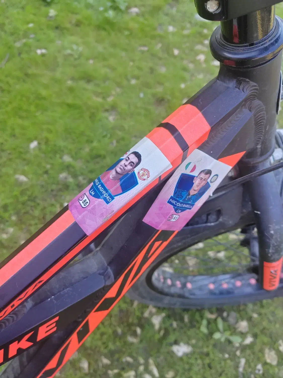 فروش دچرخه|دوچرخه، اسکیت، اسکوتر|کوهی‌خیل, |دیوار