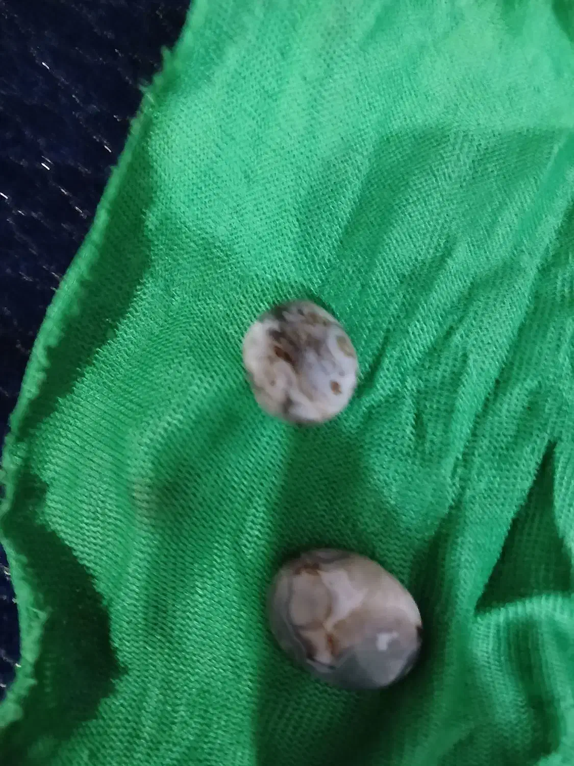 مهره محبت|کلکسیون اشیاء عتیقه|خرمشهر, |دیوار