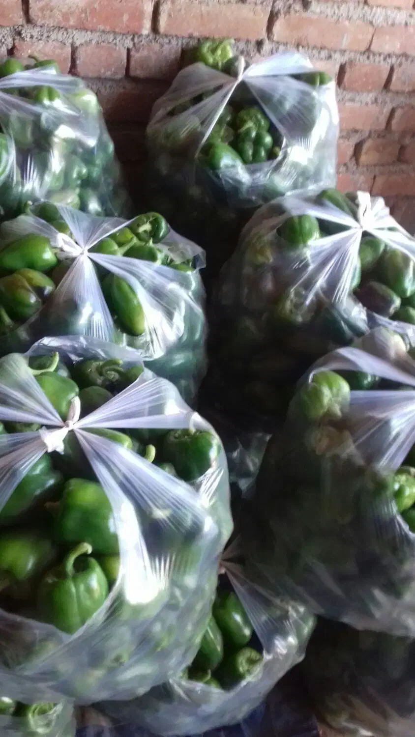 دلمه سبز|خوردنی و آشامیدنی|بهار, |دیوار