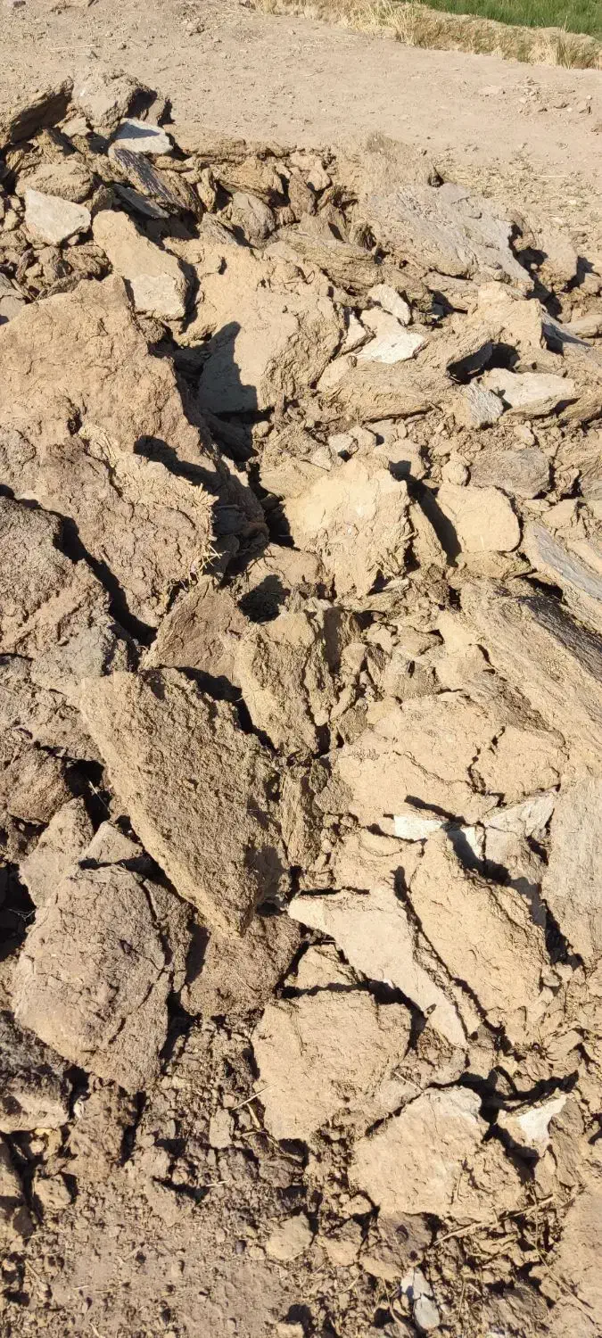 خاک گوسفندی یک خاور|خدمات باغبانی و درختکاری|گناباد, |دیوار