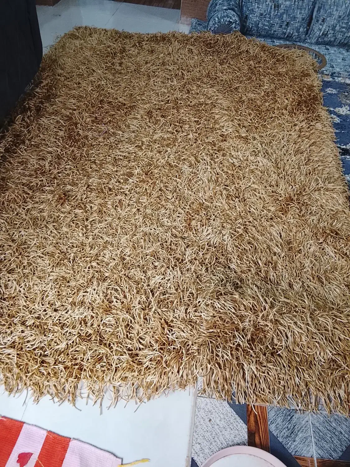 فرش|فرش|بوشهر, |دیوار