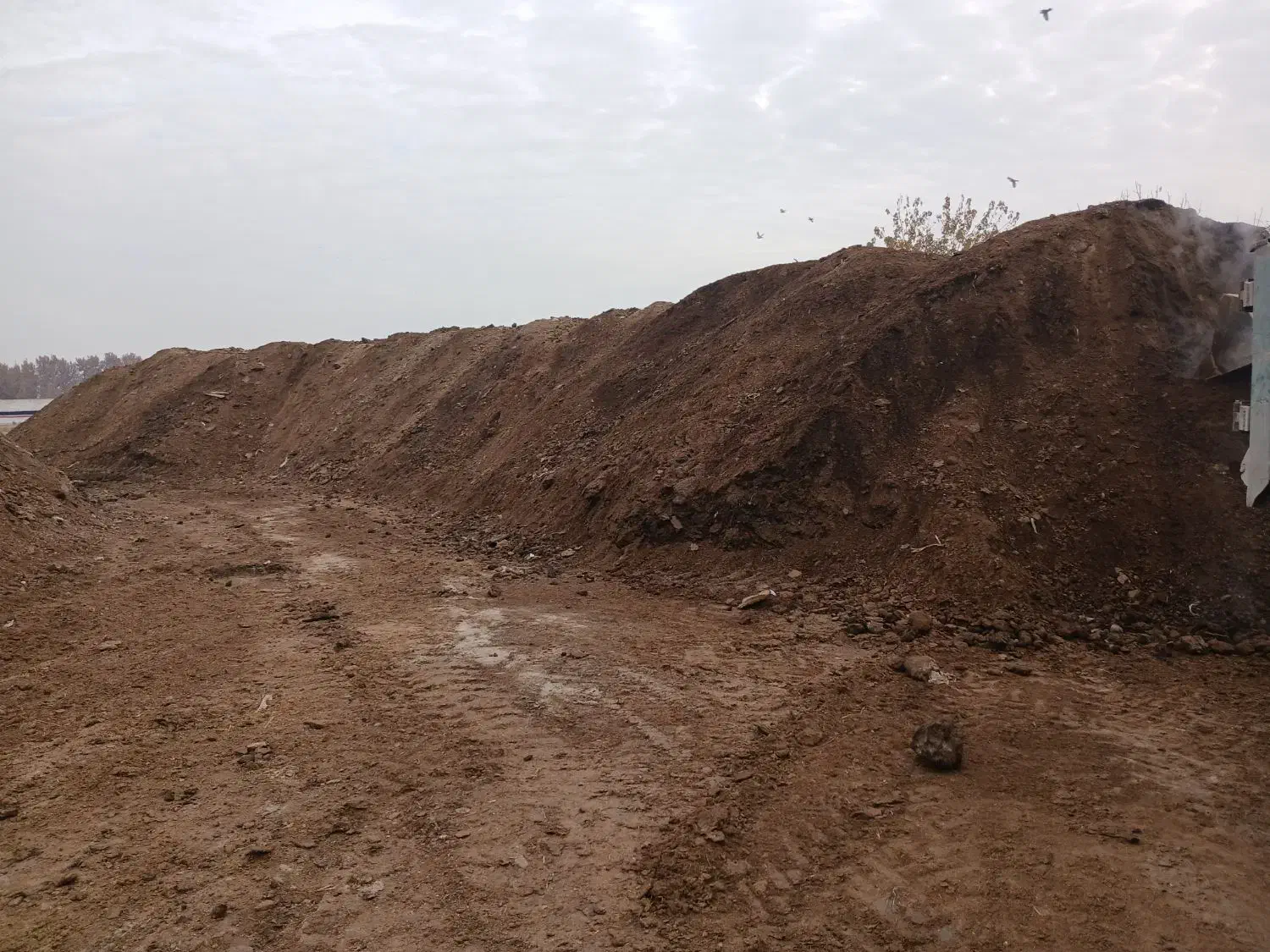 حمل مصالح ساختمانی وکودحیوانی|خدمات حمل و نقل|پاکدشت, پاکدشت (مامازند)|دیوار