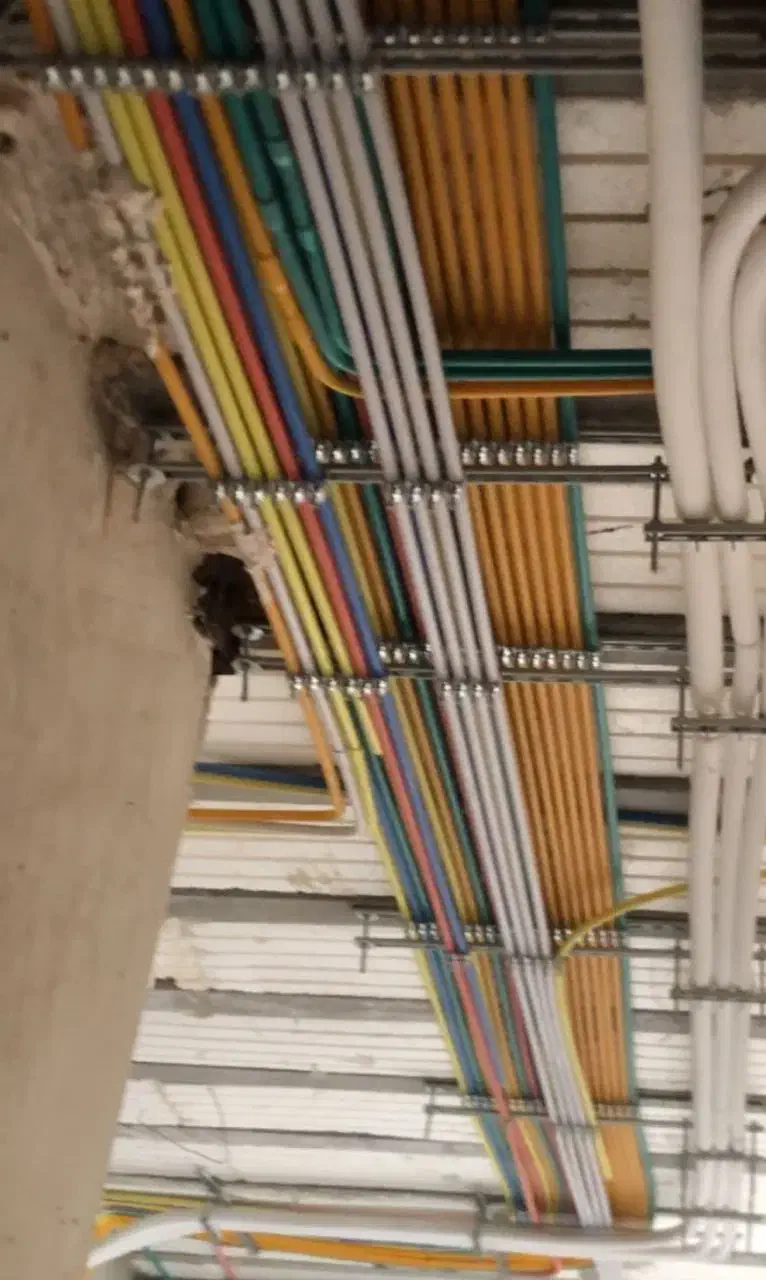 کارگرجهت برق کاری صنعتی وساختمانی|استخدام صنعتی، فنی، مهندسی|کرج, کمال‌شهر|دیوار