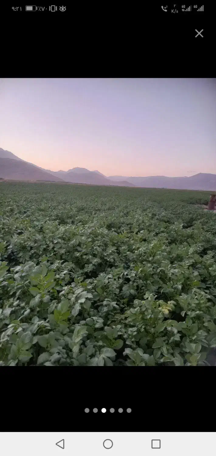 اجاره زمین کشاورزی|فروش دفتر صنعتی، کشاورزی، تجاری|سلطانیه, |دیوار