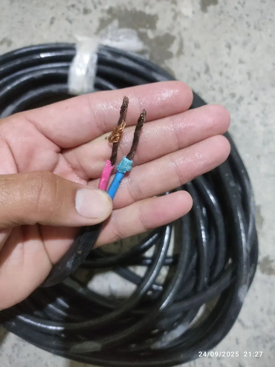 سیم کابل مسی|مصالح و تجهیزات ساختمان|پیرانشهر, |دیوار