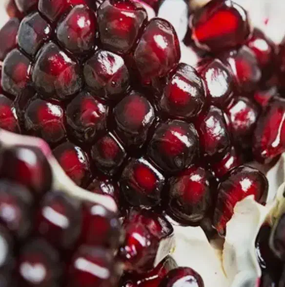 نهال انار بی دانه|خدمات باغبانی و درختکاری|شهرکرد, |دیوار