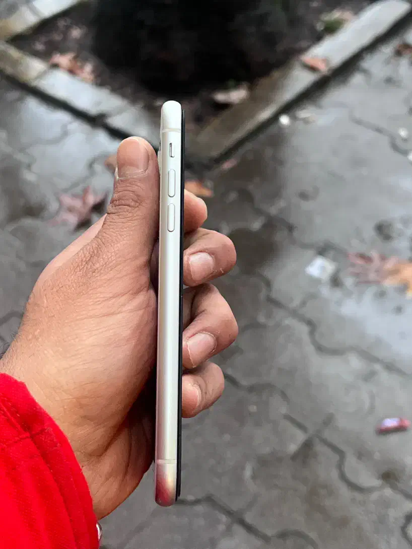 ایفون ۱۱ نرمال باطری ۱۰۰|موبایل|لاهیجان, قیام|دیوار