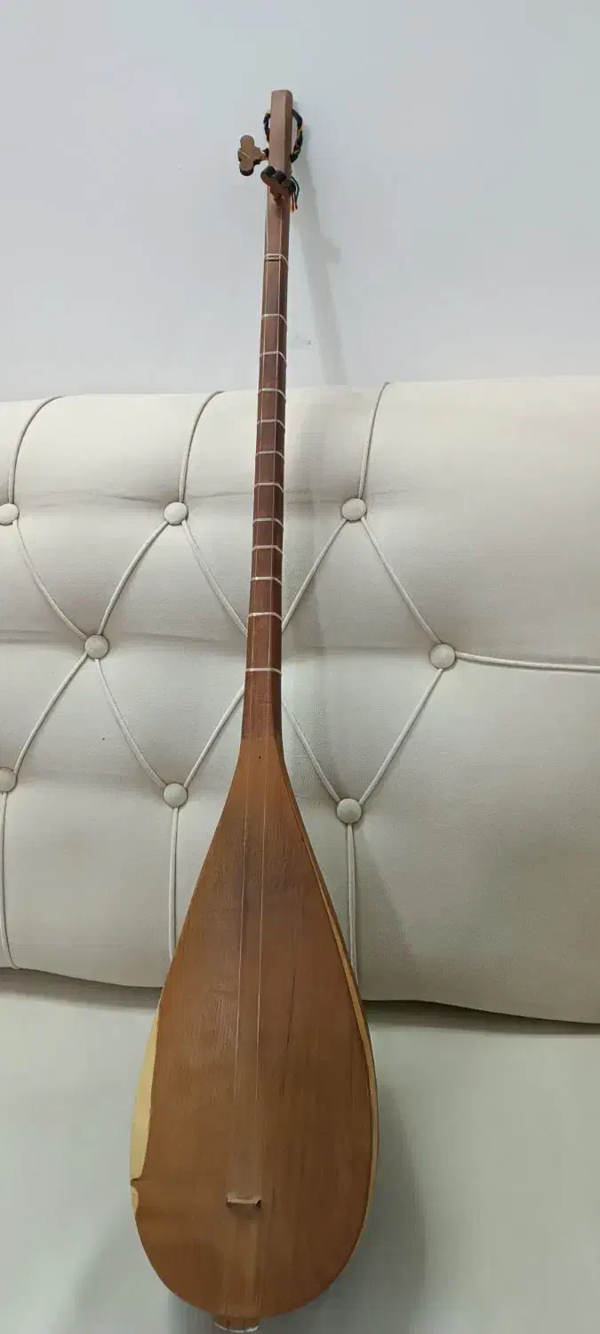 دوتار خوش صدا|سازهای سنتی|شیروان (خراسان), |دیوار