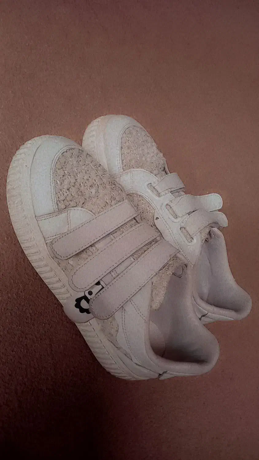 کفش|کیف، کفش، کمربند|سلماس, |دیوار