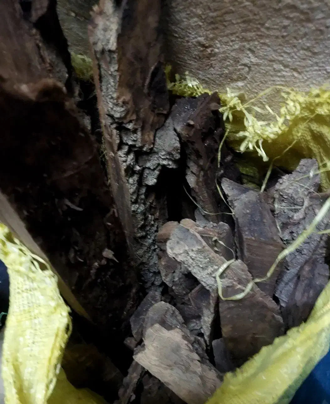 چوب زغالی|کالسکه و لوازم جانبی|همدان, |دیوار