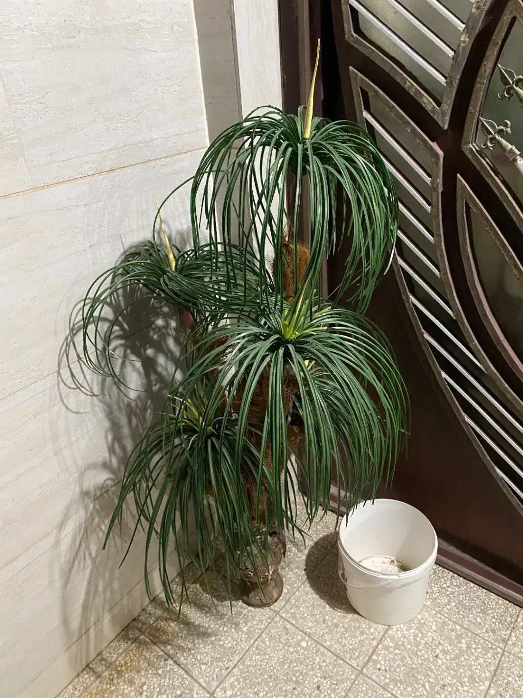 گل مصنوعی ،ابچکان|گل و گیاه طبیعی|بیرجند, |دیوار