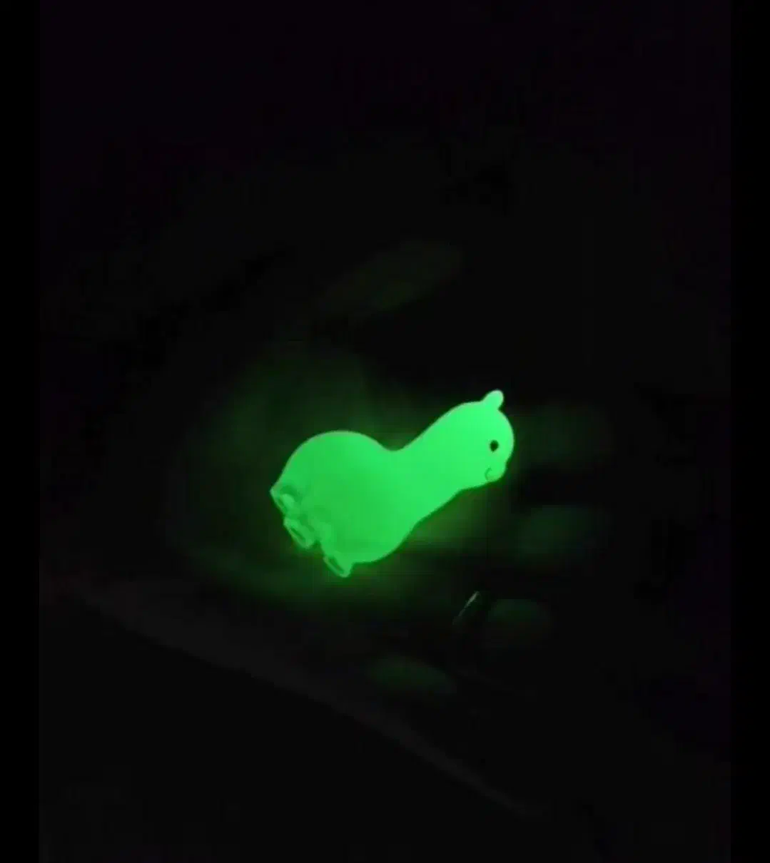 شبتاب|صنایع دستی و سایر لوازم تزئینی|قزوین, |دیوار