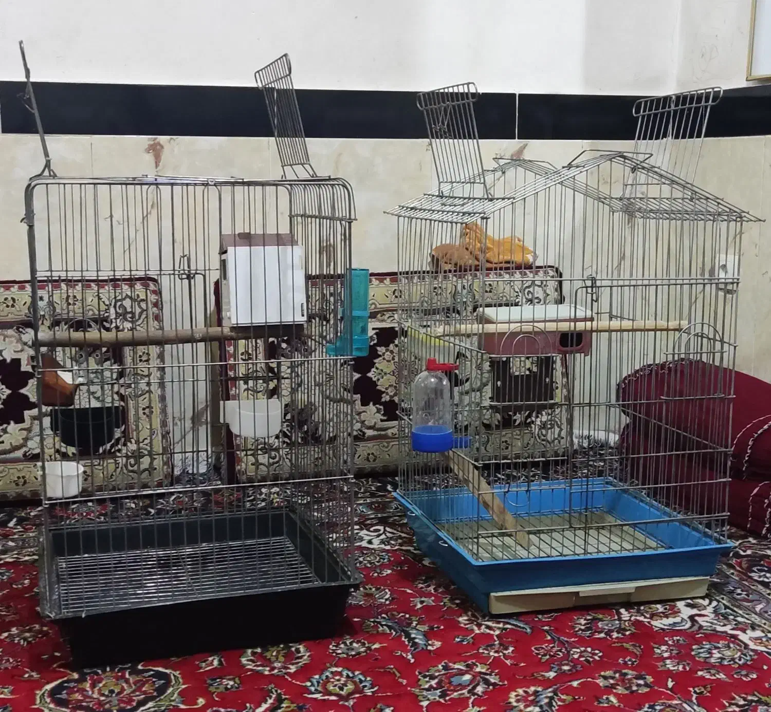 قفس بزرگ پرنده|لوازم جانبی حیوانات|مریوان, |دیوار