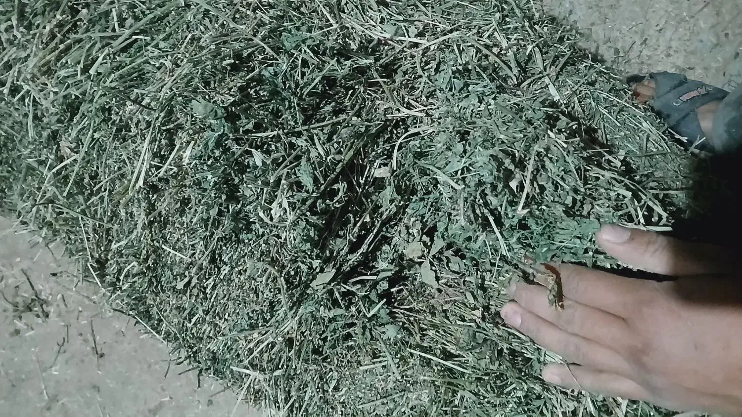 یونجه انباری|لوازم جانبی حیوانات|دشتابی, |دیوار