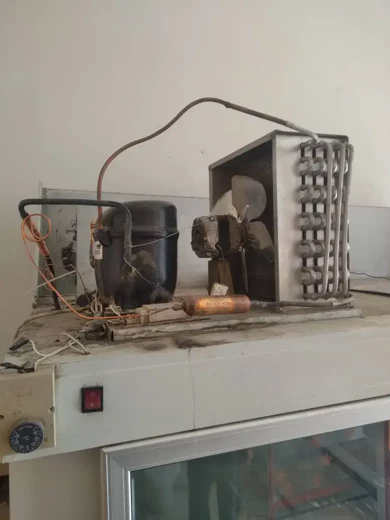 یخچال ویترینی|فروشگاه و مغازه|همدان, |دیوار