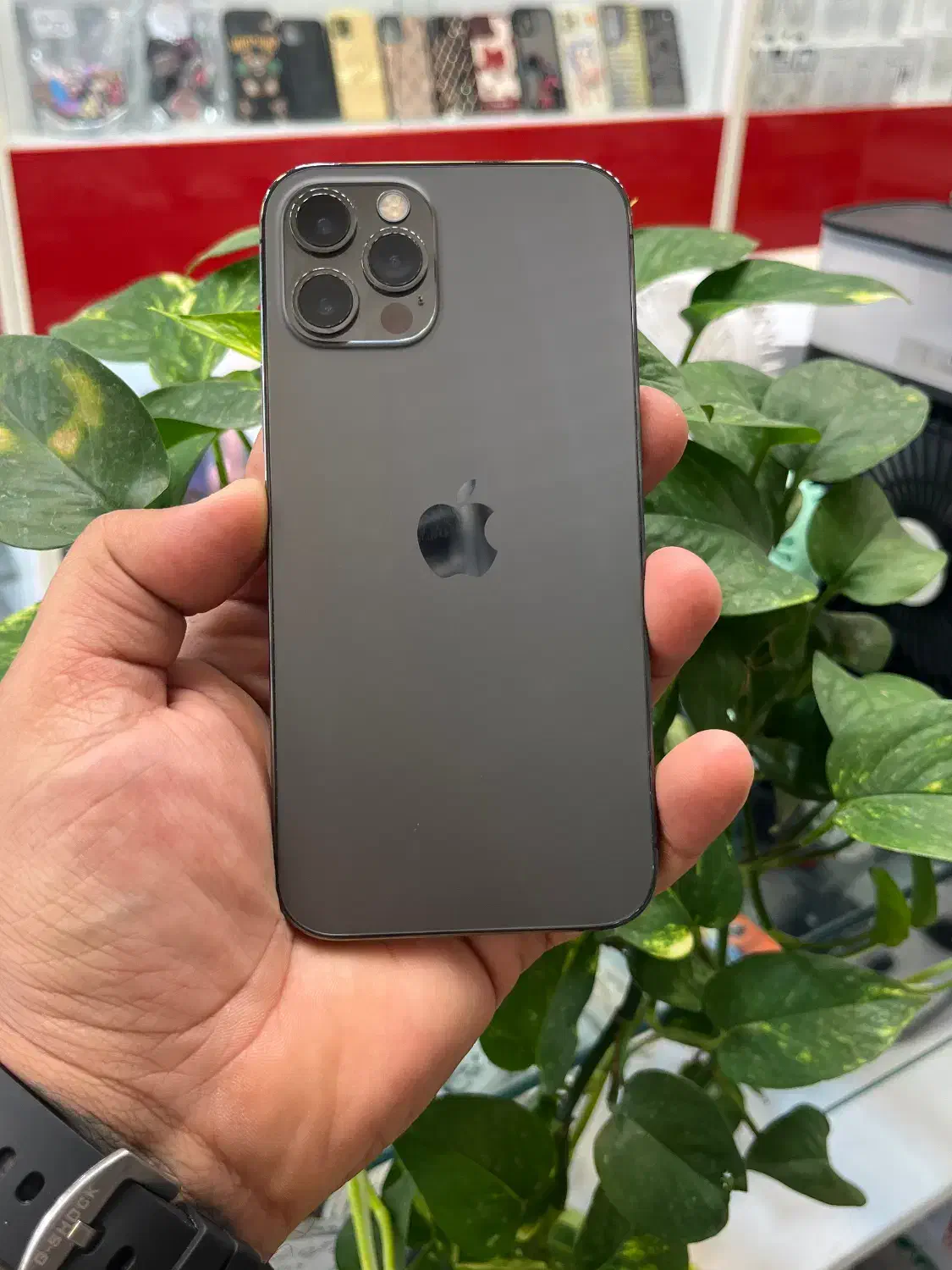 Iphone 12pro|موبایل|شیراز, زند|دیوار