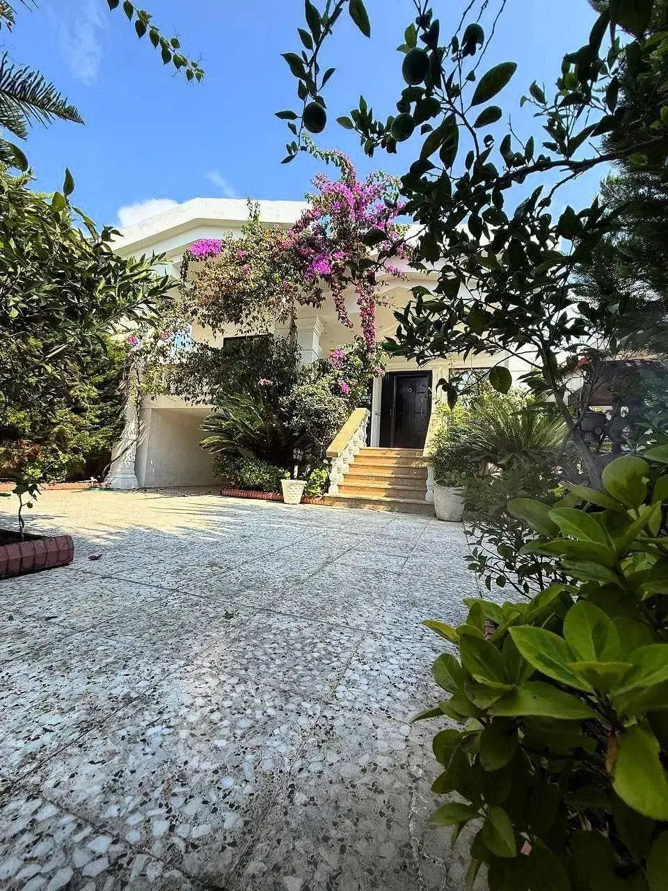 ویلاباغ نیمپیلوت۲۵۰متری نمارومی/سند۶دانگ/فروش فوری|فروش خانه و ویلا|امامزاده عبدالله, |دیوار