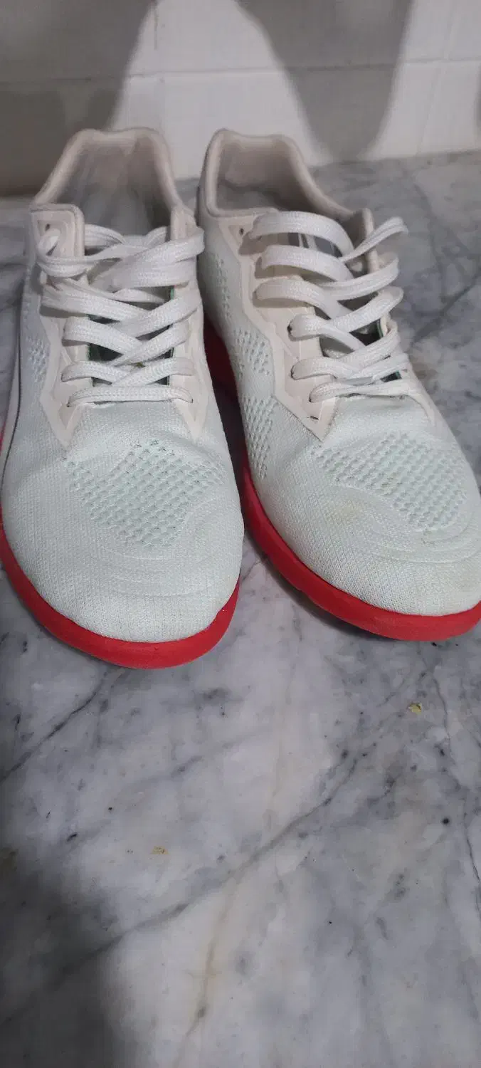 کتونی سایز ۴۲ نو|کیف، کفش، کمربند|سبزوار, امیر کبیر|دیوار