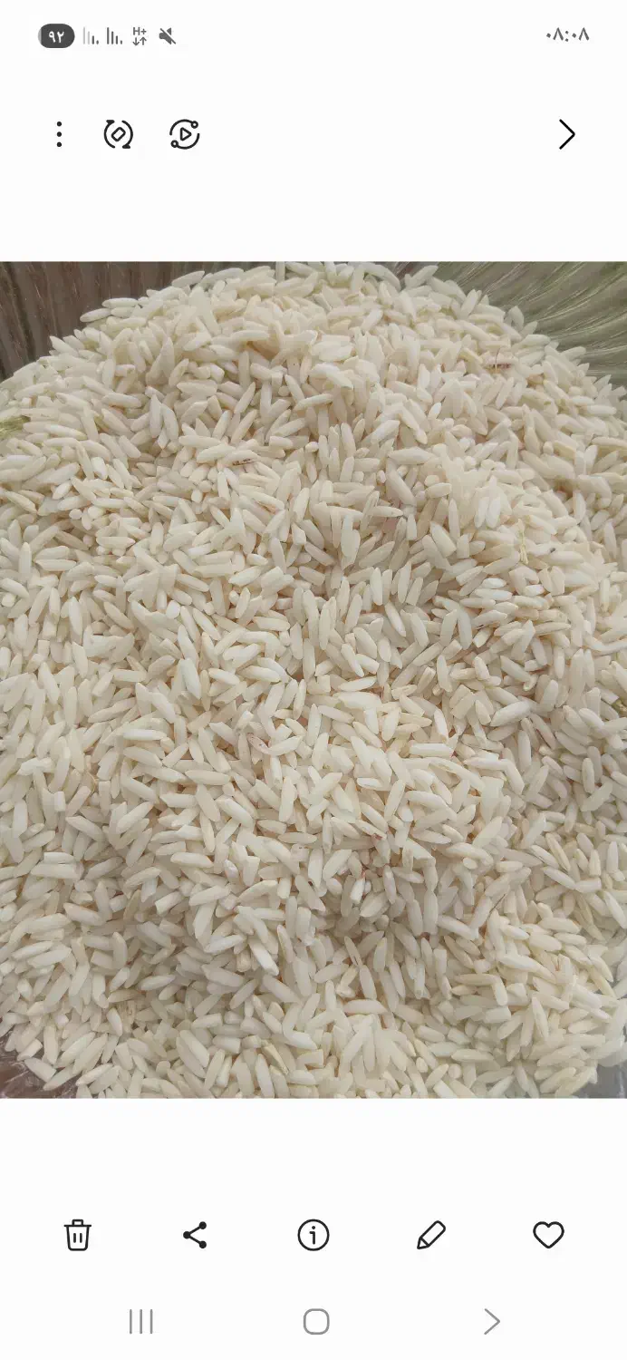علی کاظمی ۲۰ کیلو|خوردنی و آشامیدنی|لاهیجان, آهندان|دیوار