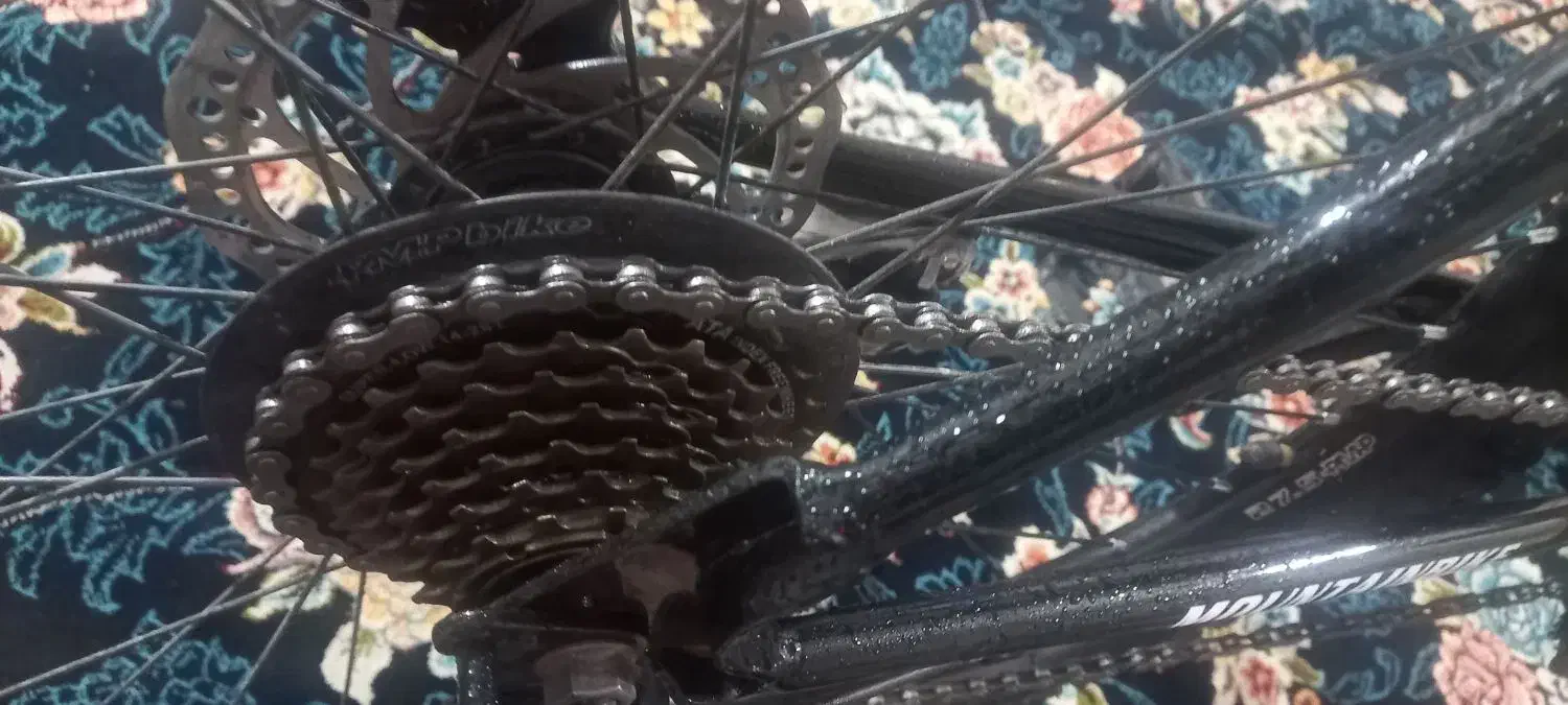 دوچرخه ۲۰۷ و نیم|دوچرخه، اسکیت، اسکوتر|یاسوج, |دیوار