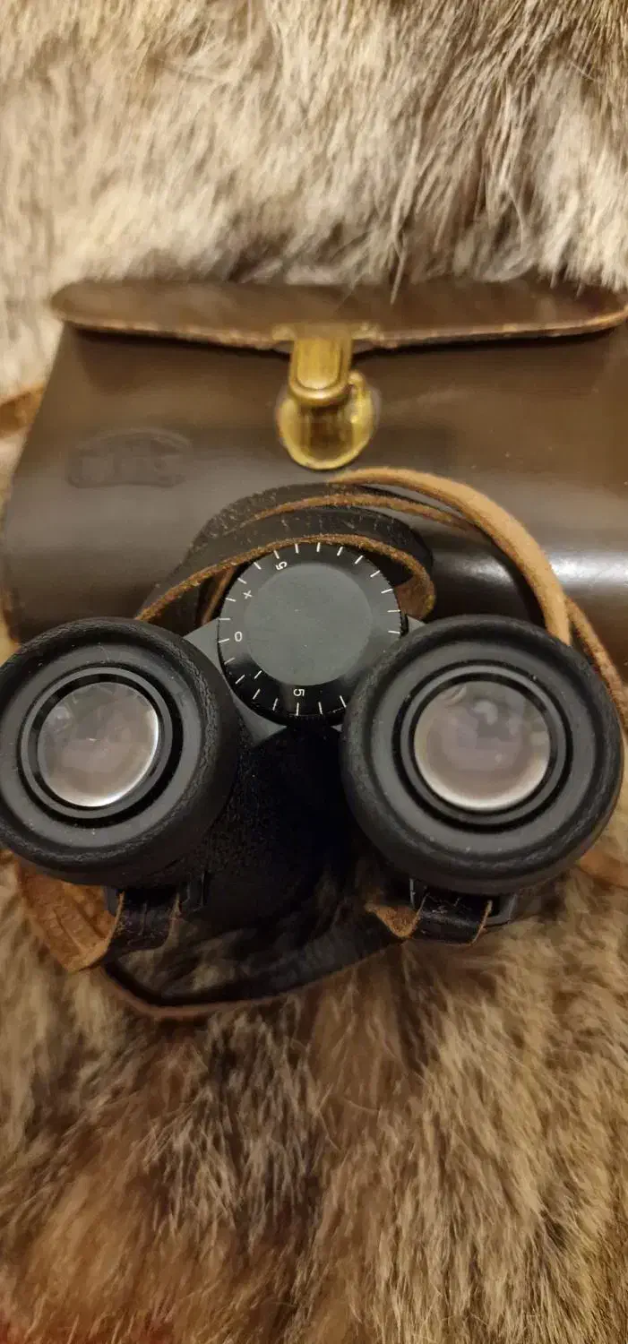 دوربین شکاری|کوهنوردی و کمپینگ|شیراز, باغ تخت|دیوار