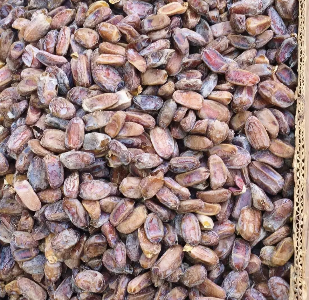 سیس|خوردنی و آشامیدنی|بندر گناوه, |دیوار