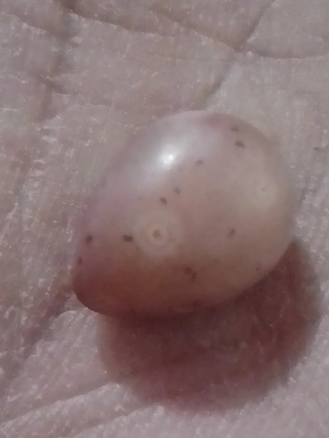 عقیق|کلکسیون اشیاء عتیقه|تایباد, |دیوار