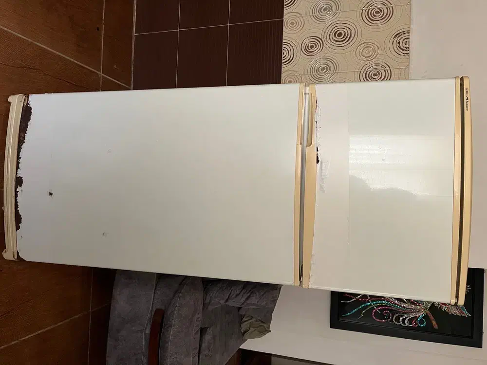 یخچال و فریزر فیلور|یخچال و فریزر|رشت, ولکس|دیوار