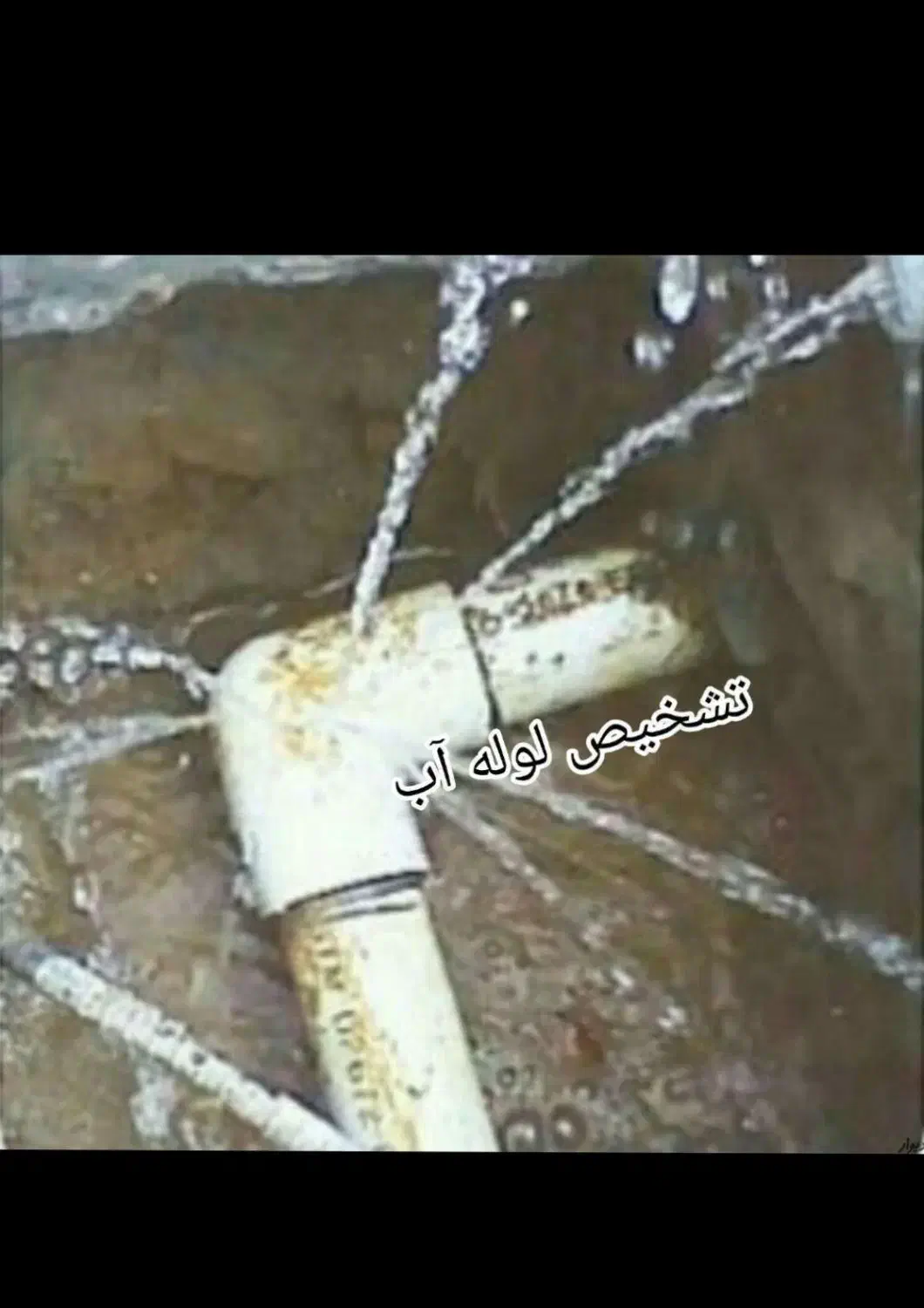 نشت یابی رفع نمزدگی چکه ترکیدگی با دستگاه|خدمات پیشه و مهارت|مشهد, الهیه|دیوار