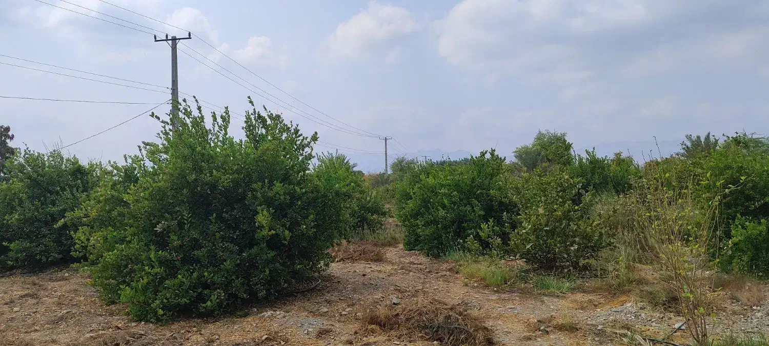 باغ مخصوص ویلا|فروش خانه و ویلا|رودان, |دیوار