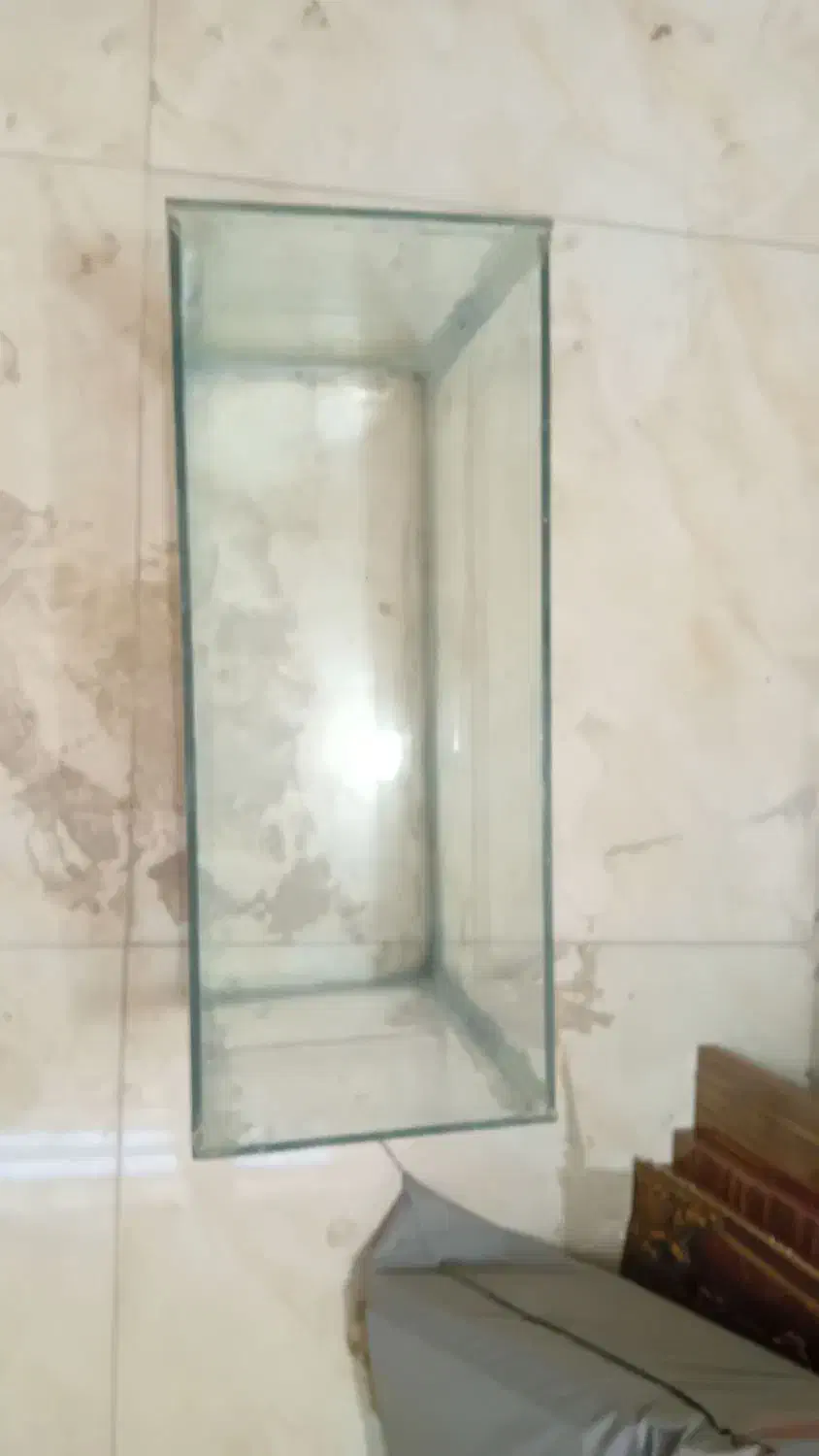 فروش دوتا اکواریوم|ماهی|سیرجان, |دیوار