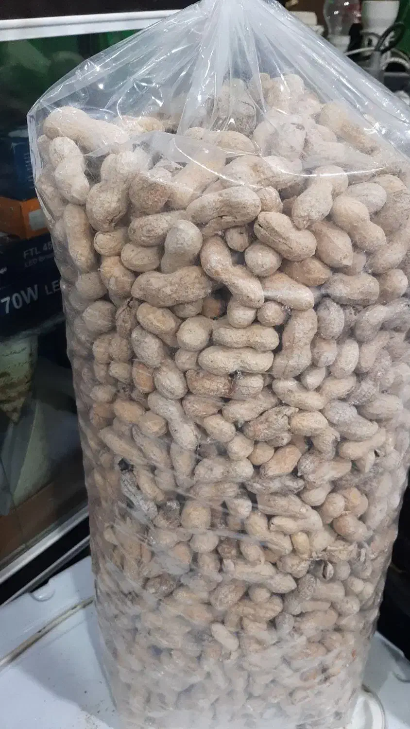 شیره انگور، رب انار، آبغوره و عسل کاشمر|حراج|مشهد, ابوذر|دیوار