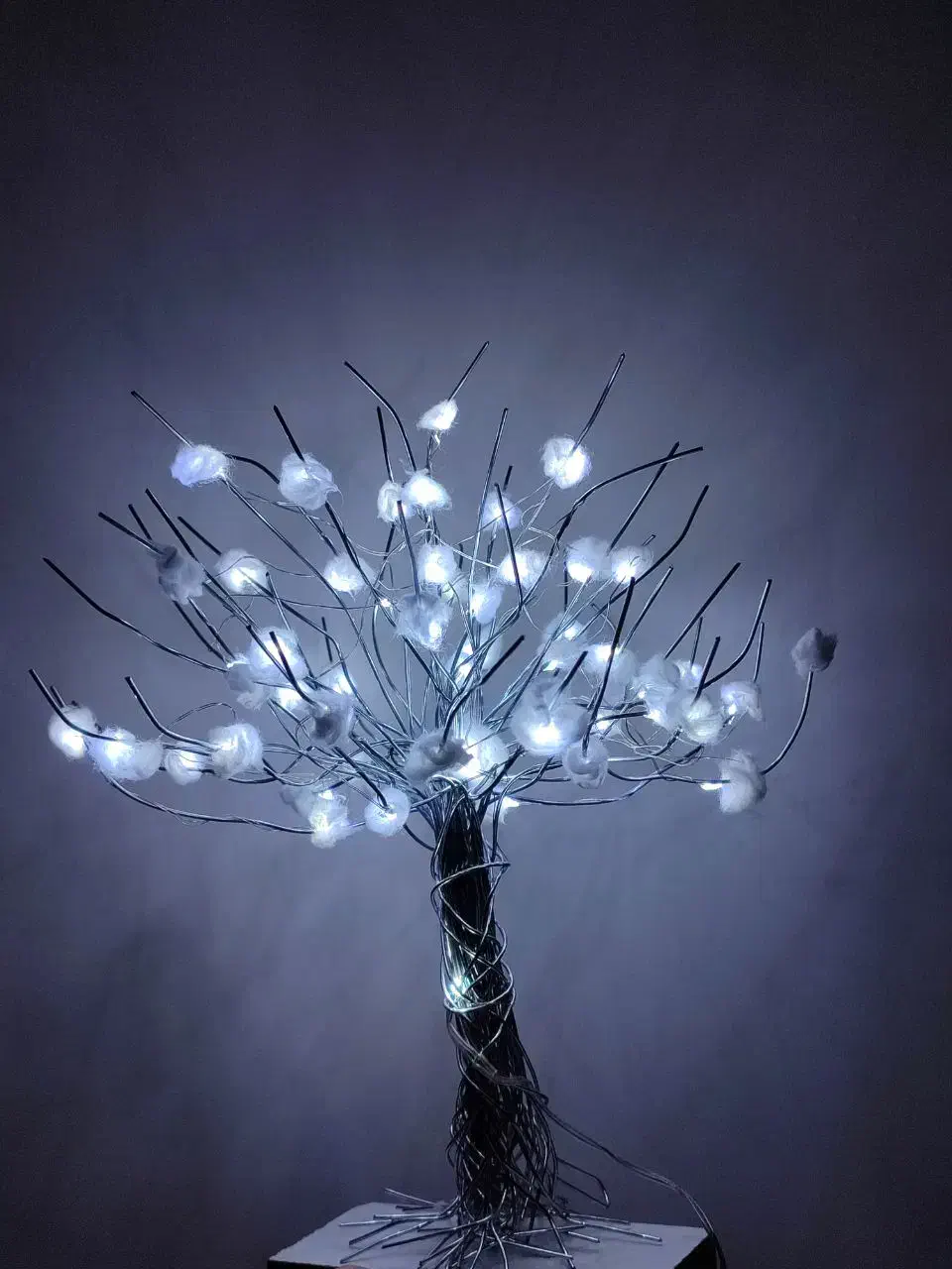 درختچه مینیاتوری|صنایع دستی و سایر لوازم تزئینی|ایرانشهر, |دیوار