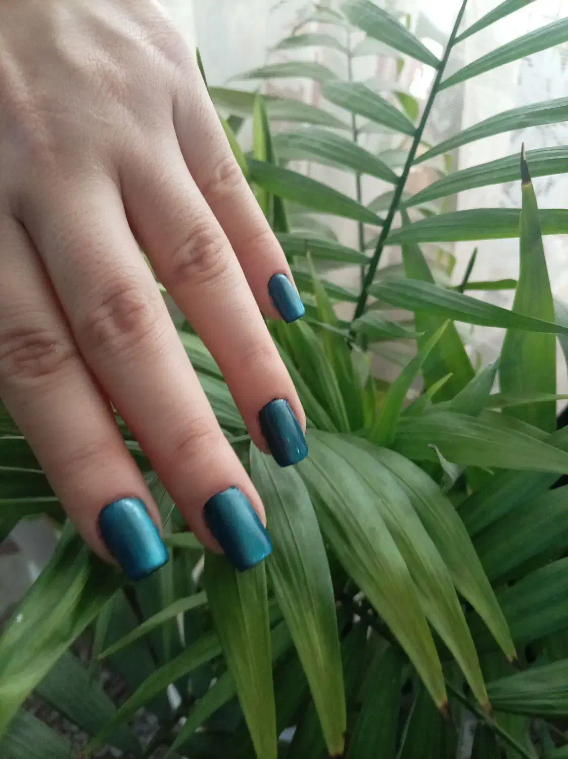 کاشت ناخن|خدمات آرایشگری و زیبایی|نیشابور, گنبد سبز|دیوار