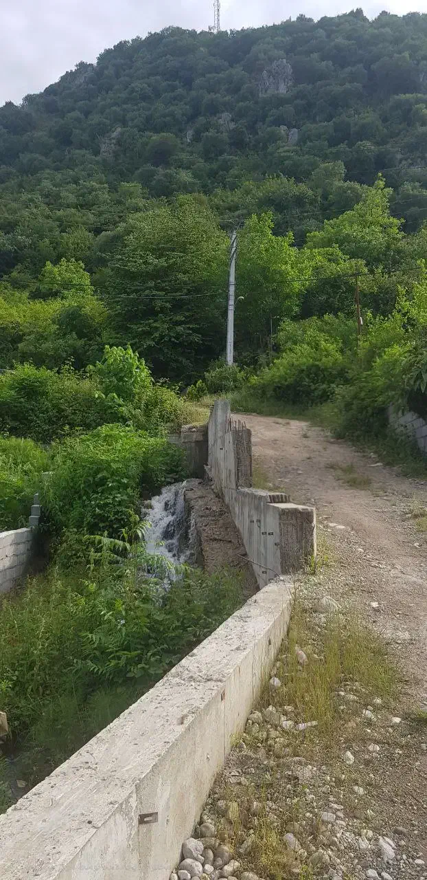 فروش زمین ۲۸۸متر سنددار رامسرکتالم|فروش زمین و ملک کلنگی|کتالم و سادات شهر, |دیوار