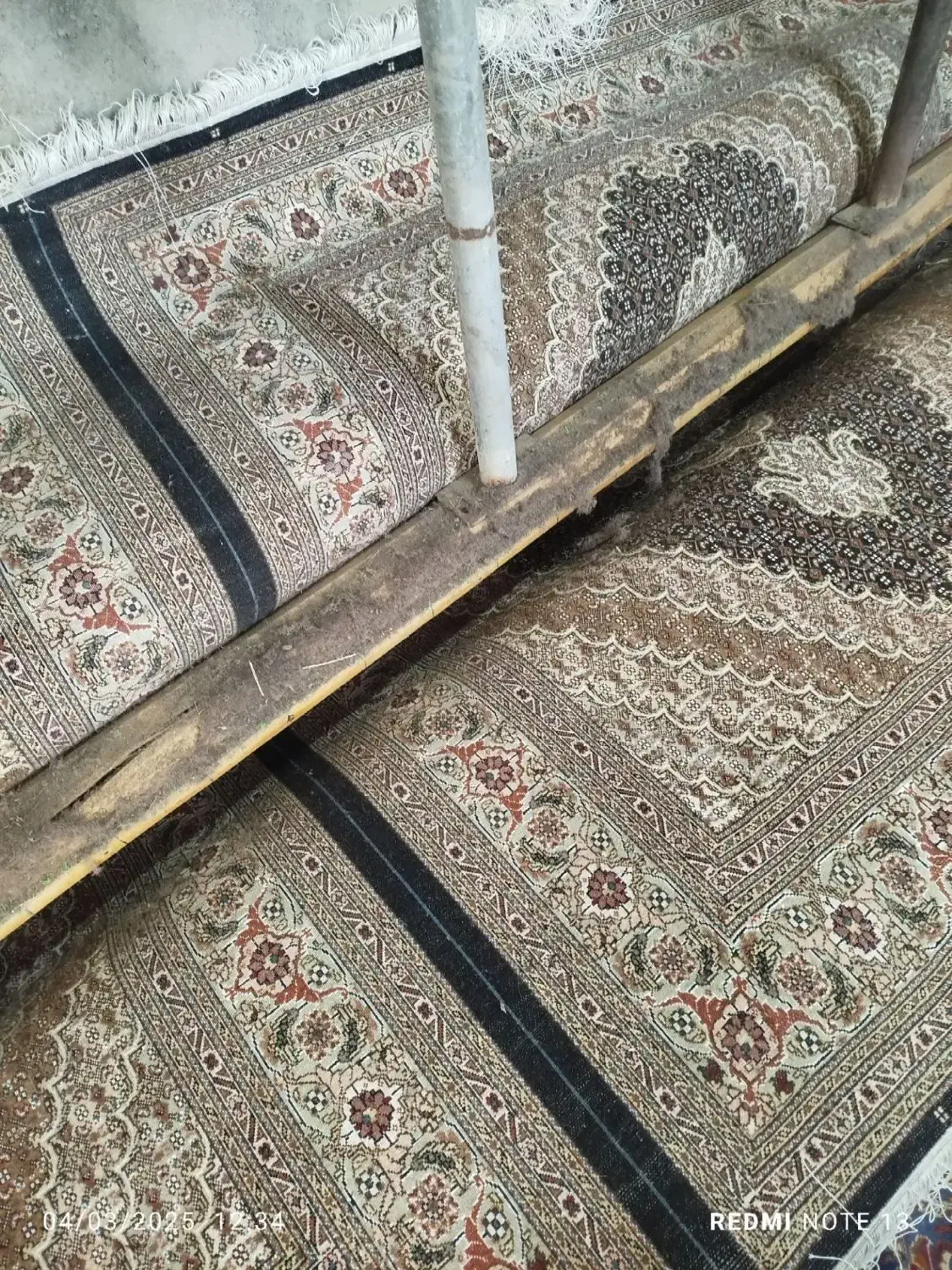 فرش خام هنوز نرفته پرداخت نشده است|فرش|مراغه, |دیوار