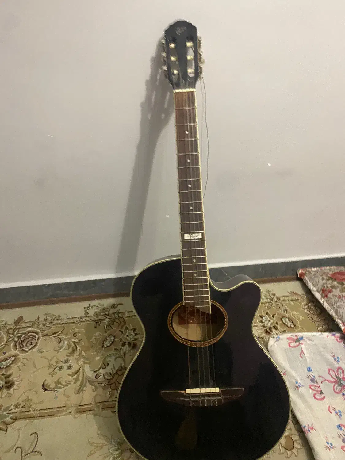 گیتار پیکابدار وگاس|گیتار، بیس، امپلیفایر|تهران, اباذر|دیوار