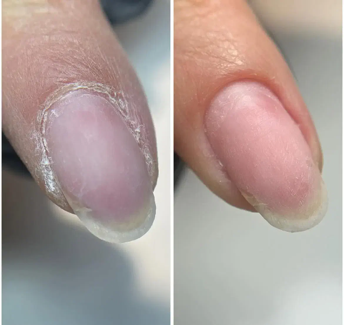 ورکشاپ تخصصی آموزش پودر ناخن ویژه یلدا|خدمات آموزشی|فردیس, فردیس|دیوار