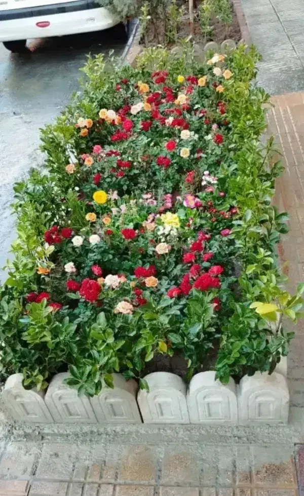 خدمات باغبانی و کشاورزی|خدمات باغبانی و درختکاری|زاهدان, |دیوار