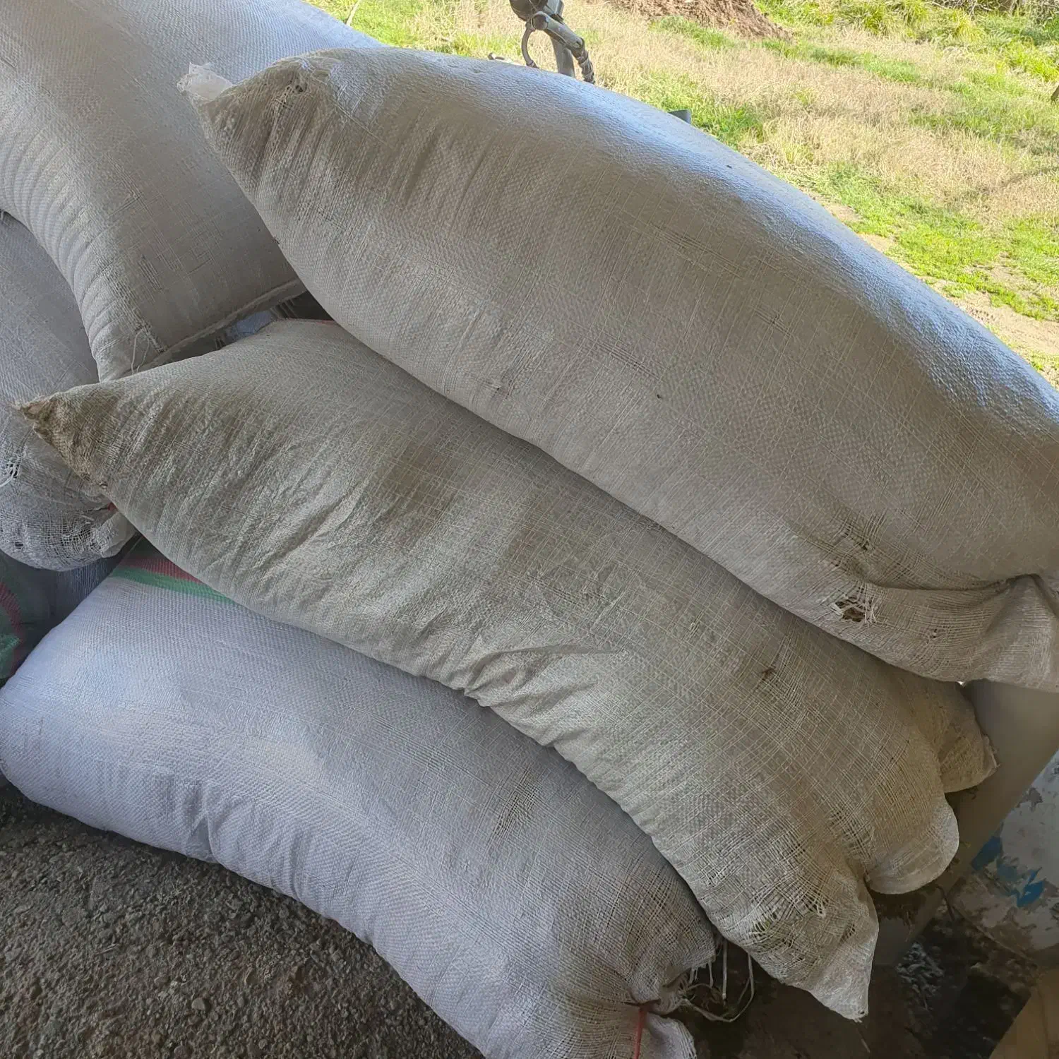 خزه جنگلی تازه با گونی سه خط بزرگ|گل و گیاه طبیعی|مرزیکلا, |دیوار