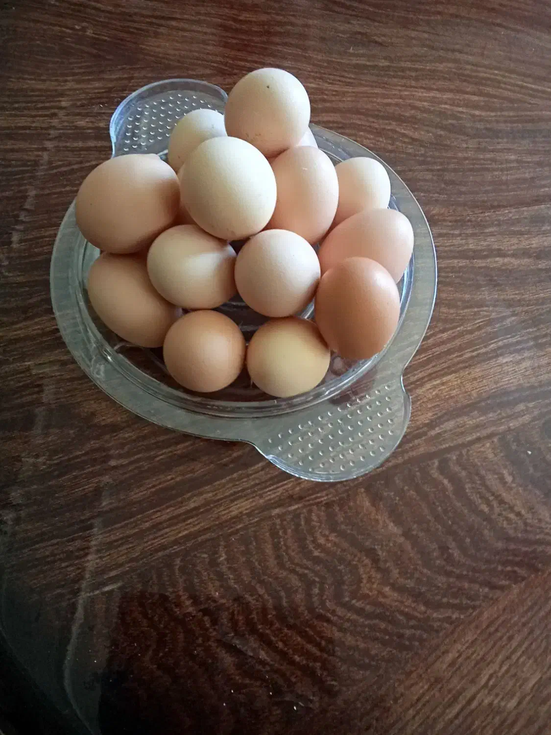 فروش تخم مرغ محلی کلی وجزیی|خوردنی و آشامیدنی|نهاوند, |دیوار