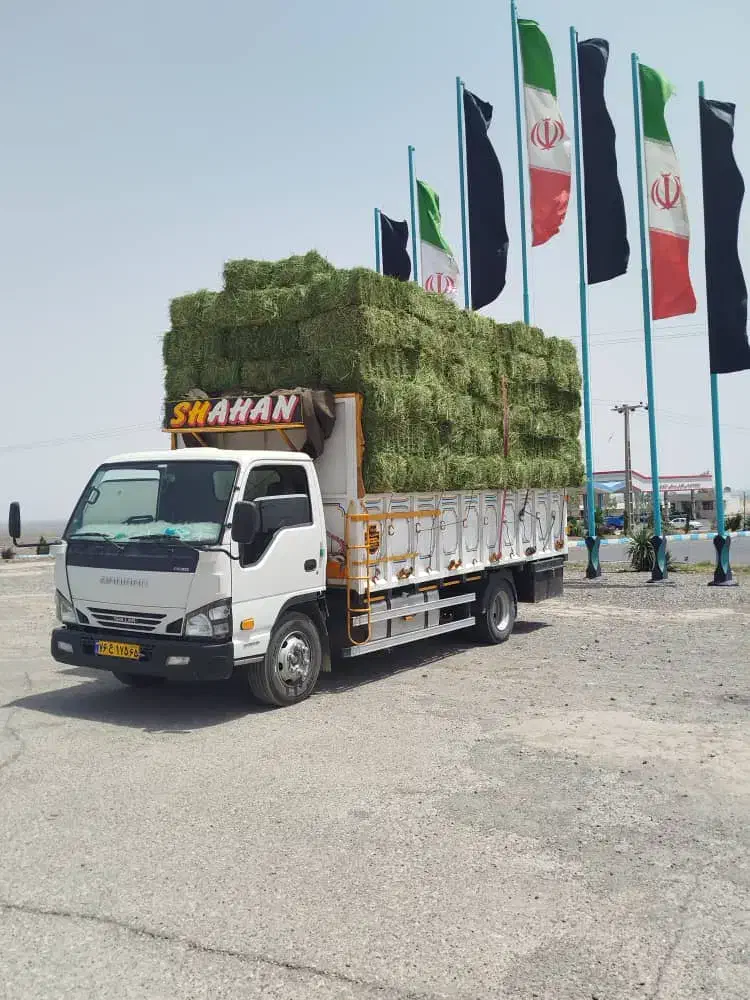 شیلر.۶تن|خودرو سنگین|بردسیر, |دیوار