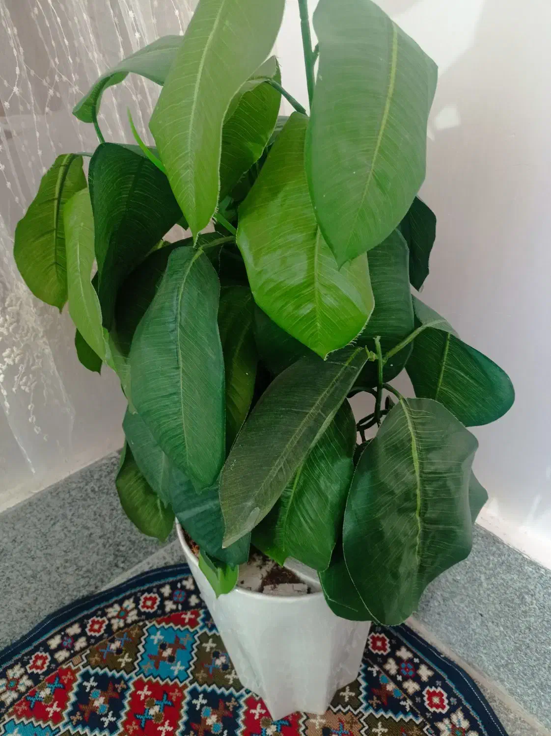 درختچه های زیبا|گل مصنوعی|بروجرد, |دیوار