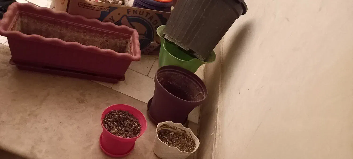 پلاستیک جات|ظروف نگهدارنده، پلاستیکی، یکبارمصرف|مشهد, رستگار|دیوار