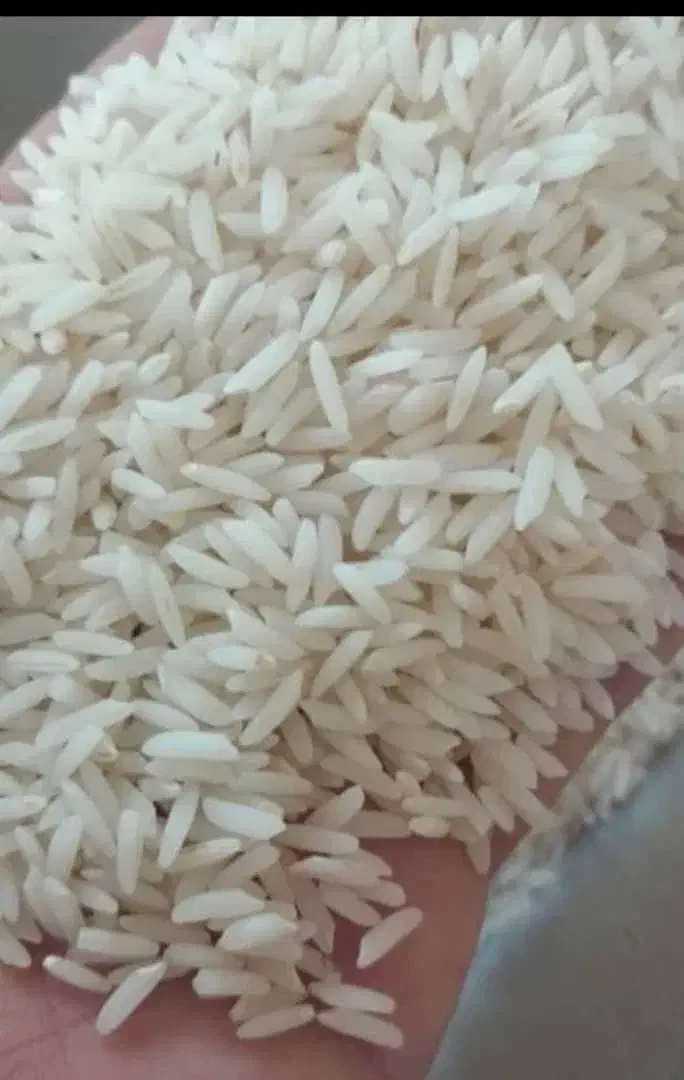 برنج هاشمی اعلا|خوردنی و آشامیدنی|نسیم‌شهر, |دیوار