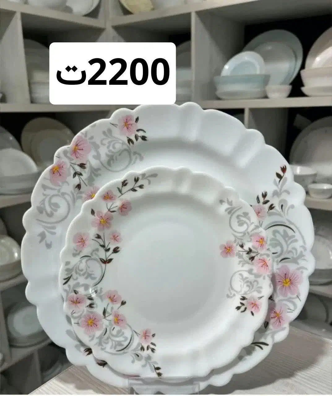 ارکوپال|ظروف سرو و پذیرایی|مشهد, شفا|دیوار