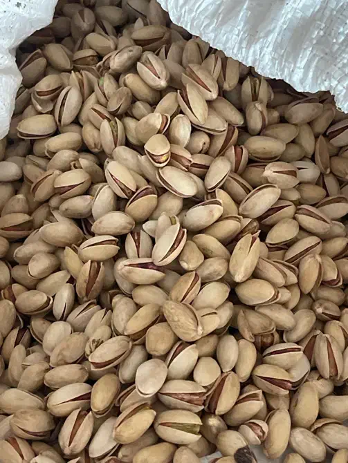 پسته|خوردنی و آشامیدنی|مشهد, کارمندان دوم|دیوار